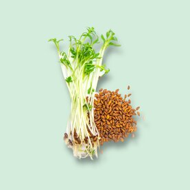 Microgreens zaden