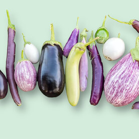 Aubergines Aubergines