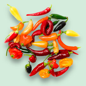 Paprika's en Pepers Paprika's en Pepers