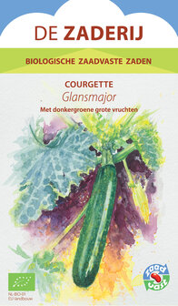 Courgette Glansmajor