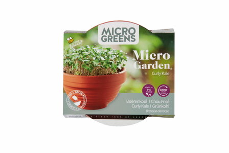 Buzzy&reg; Microgreens Terracotta schaal Boerenkool