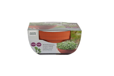 Buzzy&reg; Microgreens Terracotta schaal Boerenkool