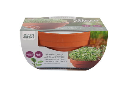 Buzzy&reg; Microgreens Terracotta schaal Tatsoi