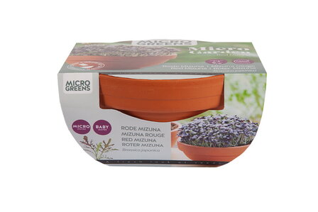 Buzzy&reg; Microgreens Terracotta schaal Rode Mizuna