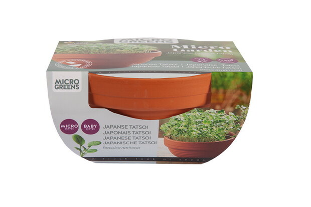 Buzzy® Microgreens Terracotta schaal Tatsoi