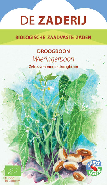 Droogboon, Wieringerboon