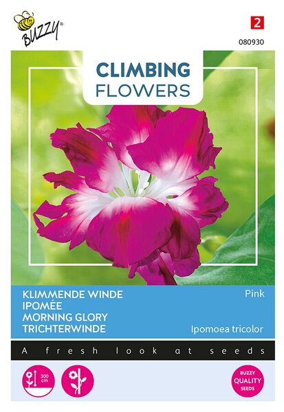 Buzzy&reg; Climbing Flowers, Ipomoea Dubbel Rose