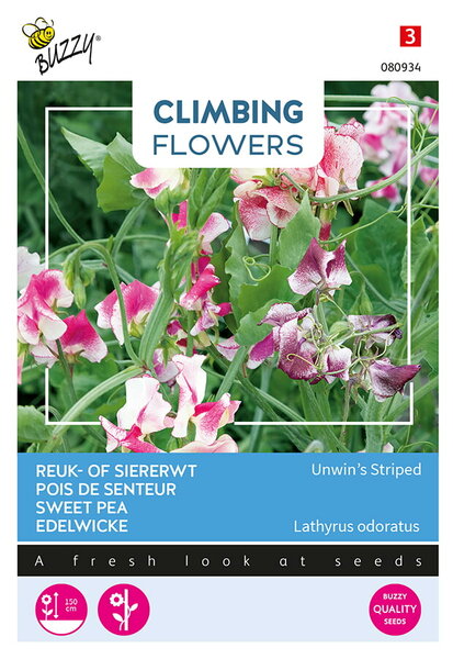 Buzzy&reg; Climbing Flowers, Lathyrus Unwin&#039;s Striped