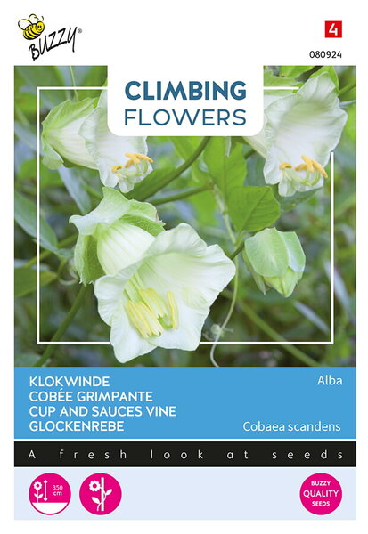 Buzzy&reg; Climbing Flowers, Cobaea Alba Wit