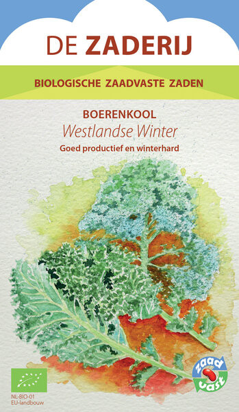 Boerenkool - Westlandse Winter