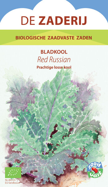 Bladkool, Red Russian