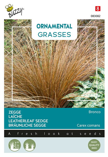 Buzzy&reg; Ornamental Grasses, Zegge &#039;Bronco&#039;