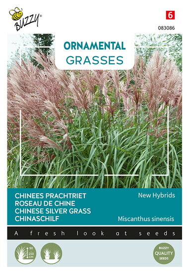 Buzzy&reg; Ornamental Grasses Chinees prachtriet &#039;New Hybrids&#039;