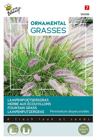 Buzzy&reg; Ornamental Grasses, Lampenpoetsersgras