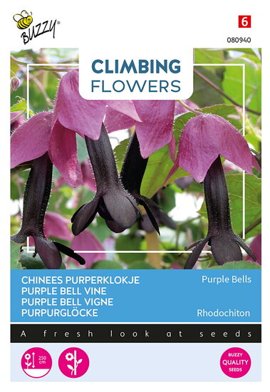 Buzzy&reg; Climbing Flowers, Rhodochiton, Purple Bells