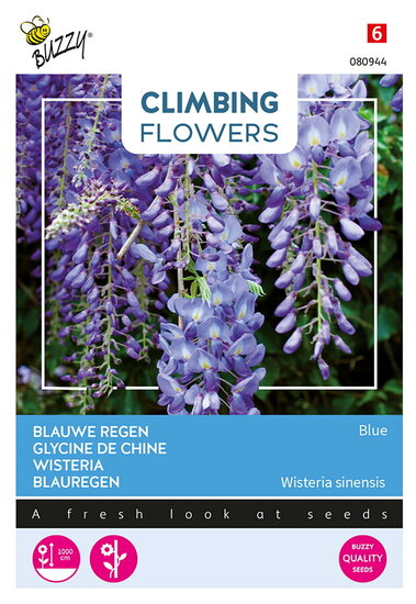 Buzzy&reg; Climbing Flowers, Wisteria, Blauwe regen