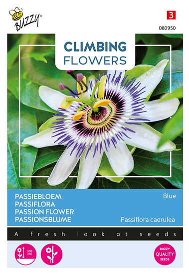 Buzzy&reg; Climbing Flowers, Passiebloem Blauw