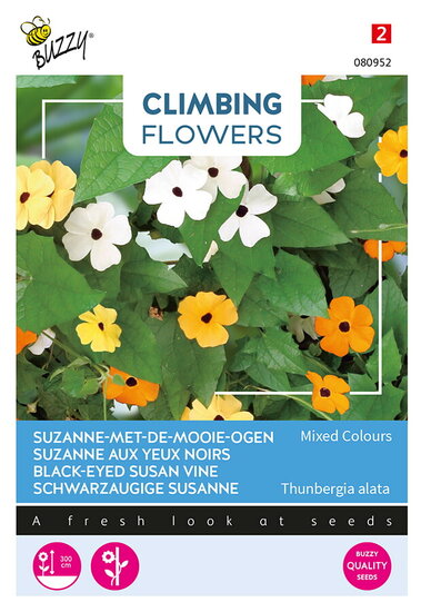 Buzzy&reg; Climbing Flowers Thunbergia, Suzanne-met-mooie-ogen
