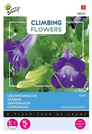 Buzzy&reg; Climbing Flowers, Asarina Violet