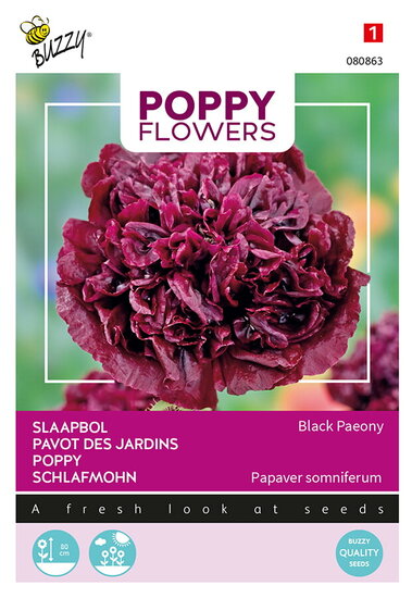 Buzzy&reg; Poppy Flowers, Papaver Black Paeony