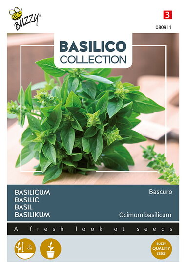 Buzzy&reg; Basilicum Bascuro