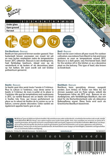 Buzzy&reg; Basilicum Bascuro