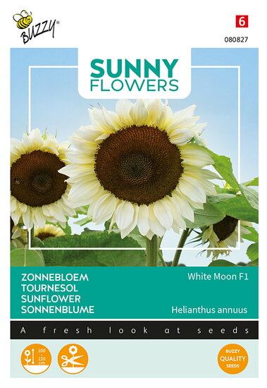 Buzzy&reg; Sunny Flowers, Zonnebloem White Moon F1