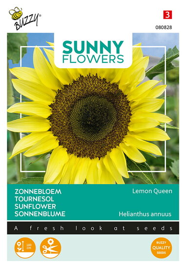 Buzzy&reg; Sunny Flowers, Zonnebloem Lemon Queen