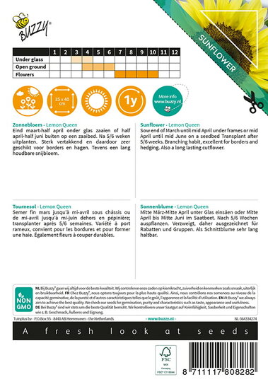 Buzzy&reg; Sunny Flowers, Zonnebloem Lemon Queen