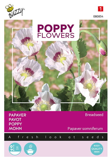 Buzzy&reg; Poppy Flowers, Papaver Blauw maanzaad