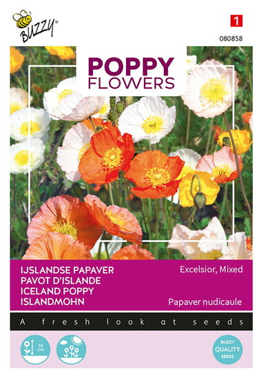 Buzzy&reg; Poppy Flowers, IJslandse papaver