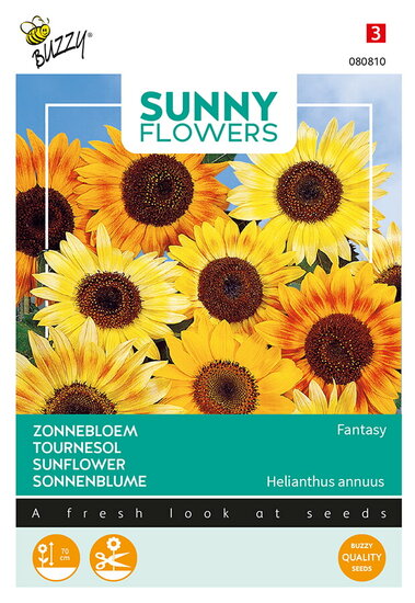 Buzzy&reg; Sunny Flowers, Zonnebloem Fantasy