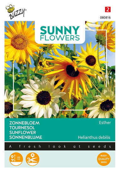 Buzzy&reg; Sunny Flowers, Zonnebloem Esther