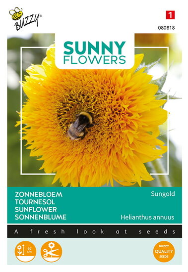 Buzzy&reg; Sunny Flowers, lage Zonnebloem Sungold dubbelbloemig