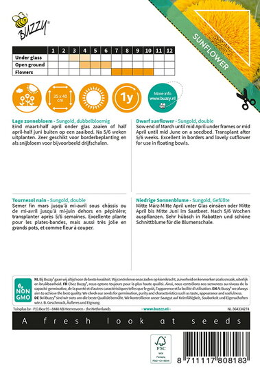 Buzzy&reg; Sunny Flowers, lage Zonnebloem Sungold dubbelbloemig