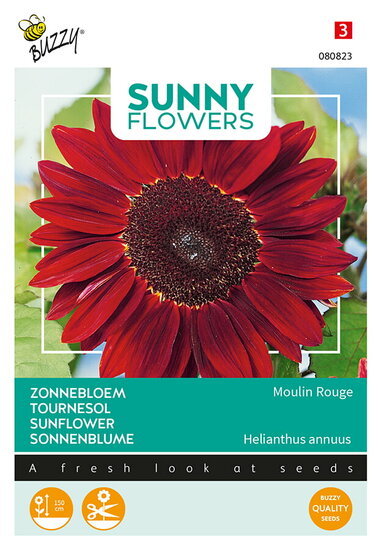 Buzzy&reg; Sunny Flowers, Zonnebloem Moulin Rouge