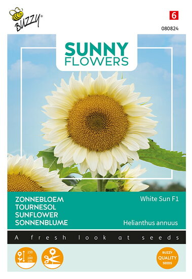 Buzzy&reg; Sunny Flowers, Zonnebloem White Sun F1