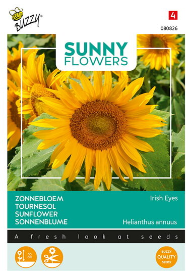 Buzzy&reg; Sunny Flowers, Zonnebloem Irish Eyes