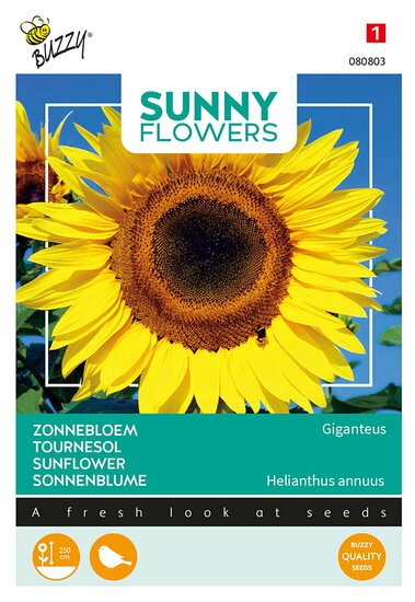 Buzzy&reg; Sunny Flowers, Reuzenzonnebloem Giganteus