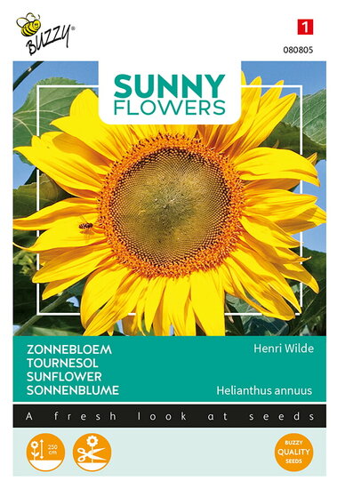 Buzzy&reg; Sunny Flowers, Zonnebloem Henry Wilde