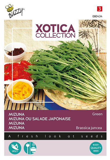 Buzzy&reg; Xotica Mizuna, Japanse salade