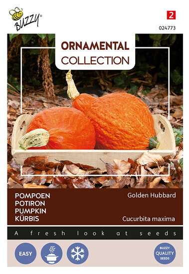 Buzzy&reg; Ornamental, Pompoen Golden Hubbard