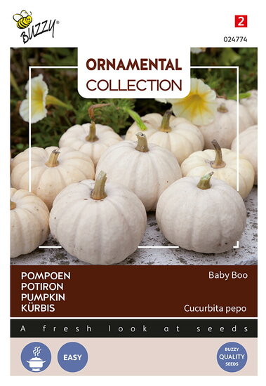 Buzzy&reg; Ornamental, Pompoen Baby Boo