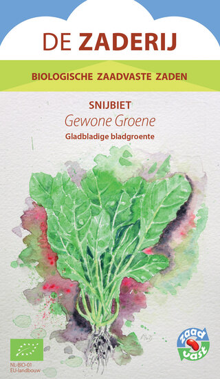 Snijbiet &ndash; Gewone Groene