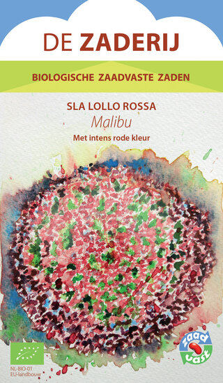 Lollo Rosso sla &ndash; Malibu