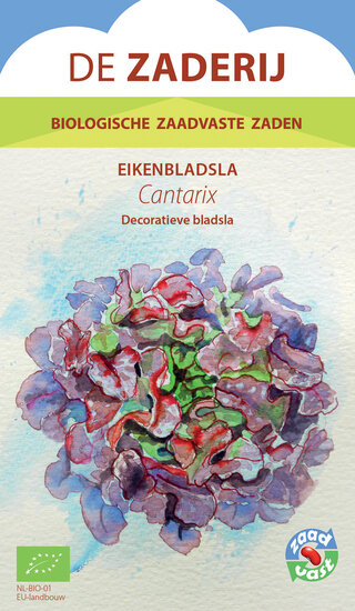 Eikenbladsla &ndash; Cantarix