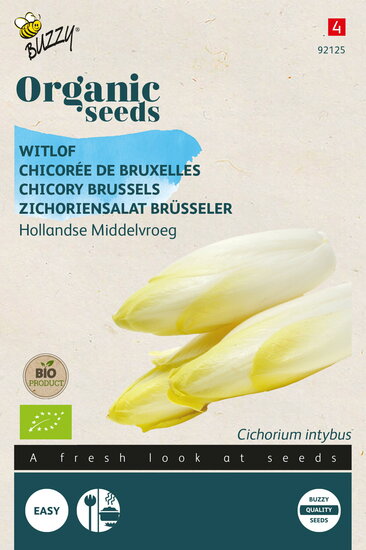 Buzzy&reg; Organic Witlof Hollandse Middelvroeg  (BIO)