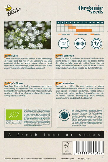 Buzzy&reg; Organic Ammi Majus, Witte Dille (BIO)