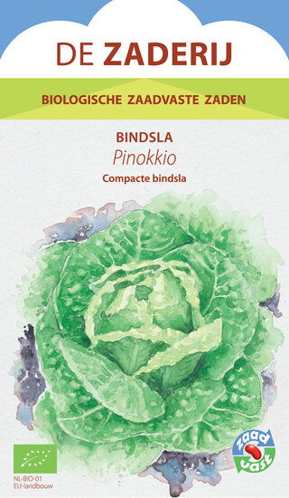 Bindsla &ndash; Pinokkio