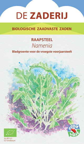 Raapsteel, Namenia